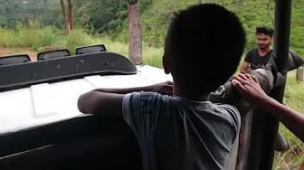 Post 2 by Traveler Max Lanka on YouTube (video)