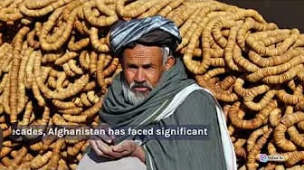 Post 4 by GlobalFootprints on YouTube (video)