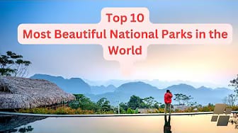 Post 5 by Global Wonders & Nature on YouTube (video)