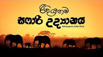 Post 8 by Infinity Sri Lanka on YouTube (video)