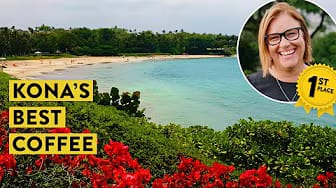 Post 3 by Where Coffee Takes You on YouTube (video)