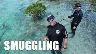 Post 5 by Underwater Cameraman on YouTube (video)