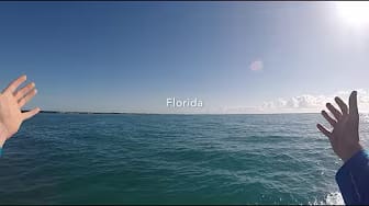 Post 5 by Matt Hamma on YouTube (video)
