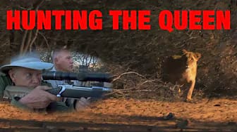 Post 1 by Retirement Outdoors on YouTube (video)