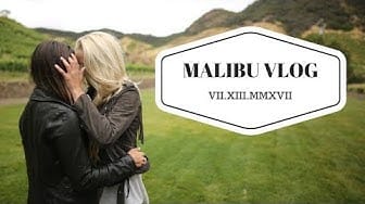 Post 3 by Madison Clark on YouTube (video)
