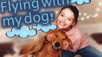Post 7 by Jessica Paulsen on YouTube (video)