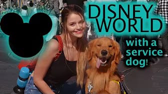 Post 1 by Jessica Paulsen on YouTube (video)