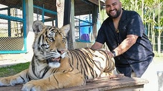 Post 9 by WhereIzzyX on YouTube (video)