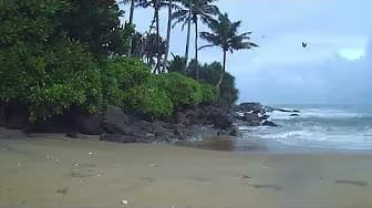 Post 9 by SEREEN TRAVEL on YouTube (video)