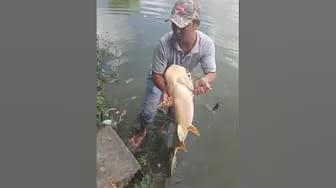 Post 8 by Amazon Trip Documentary on YouTube (video)