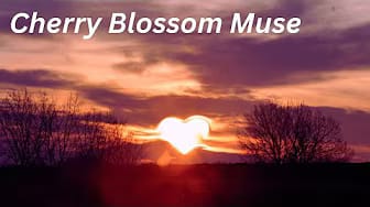 Post 3 by Cherry Blossom Muse on YouTube (video)