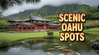 Post 1 by Travel and Nature Wonders on YouTube (video)