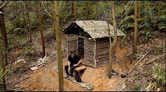 Post 5 by Lizzi Camp on YouTube (video)