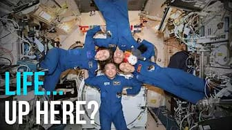 Post 4 by SpaceX Insider on YouTube (video)