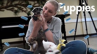 Post 5 by Live For Another on YouTube (video)