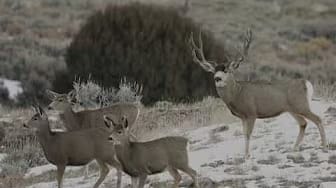 Post 5 by CH Film Productions on YouTube (video)