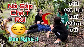 Post 1 by Di Tú Vlogs on YouTube (video)