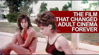 Post 1 by Adult Film Recaps on YouTube (video)