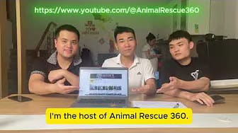 Post 1 by Animal Rescue 360 on YouTube (video)