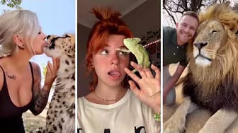 Post 3 by For Your Fun on YouTube (video)
