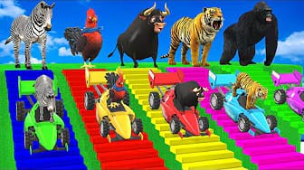Post 10 by Funny Animals 3D on YouTube (video)