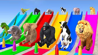 Post 9 by Funny Animals 3D on YouTube (video)