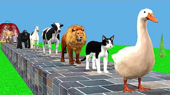 Post 8 by Funny Animals 3D on YouTube (video)