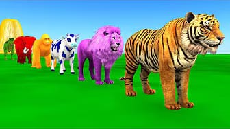 Post 7 by Funny Animals 3D on YouTube (video)