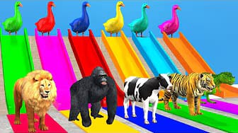 Post 6 by Funny Animals 3D on YouTube (video)