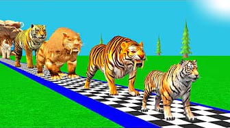 Post 2 by Funny Animals 3D on YouTube (video)