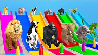 Post 4 by Funny Animals 3D on YouTube (video)