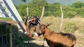Post 2 by JamaicaMovieChannel on YouTube (video)