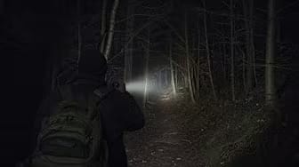 Post 2 by True horror stories on YouTube (video)