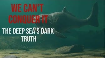 Post 4 by Slumber Documentaries on YouTube (video)