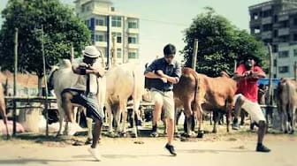 Post 8 by Intrac Flims on YouTube (video)