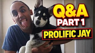 Post 4 by Prolific Jay on YouTube (video)