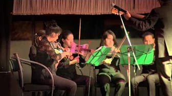 Post 3 by LandfillHarmonic on YouTube (video)