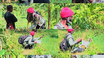 Post 1 by INOZE  TV5 on YouTube (video)