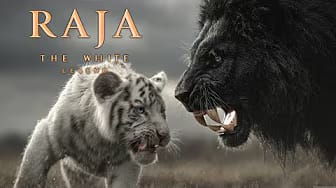 Post 2 by Last Roar on YouTube (video)