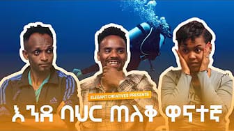 Post 4 by ቤቲ ዘርጋው on YouTube (video)