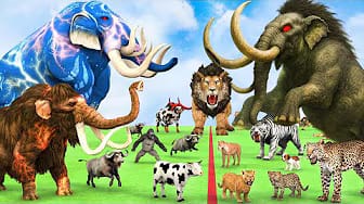 Post 2 by Animal Cartoon Revolt on YouTube (video)