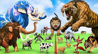 Post 4 by Animal Cartoon Revolt on YouTube (video)