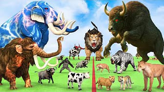 Post 9 by Animal Cartoon Revolt on YouTube (video)