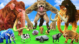 Post 8 by Animal Cartoon Revolt on YouTube (video)