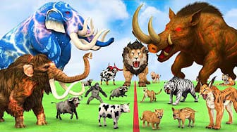Post 10 by Animal Cartoon Revolt on YouTube (video)
