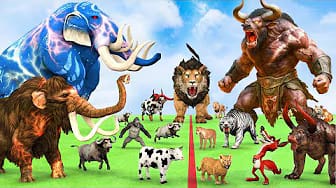 Post 3 by Animal Cartoon Revolt on YouTube (video)