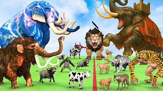 Post 5 by Animal Cartoon Revolt on YouTube (video)