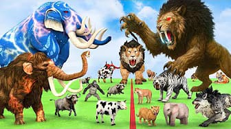 Post 7 by Animal Cartoon Revolt on YouTube (video)