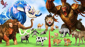 Post 6 by Animal Cartoon Revolt on YouTube (video)
