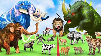 Post 1 by Animal Cartoon Revolt on YouTube (video)